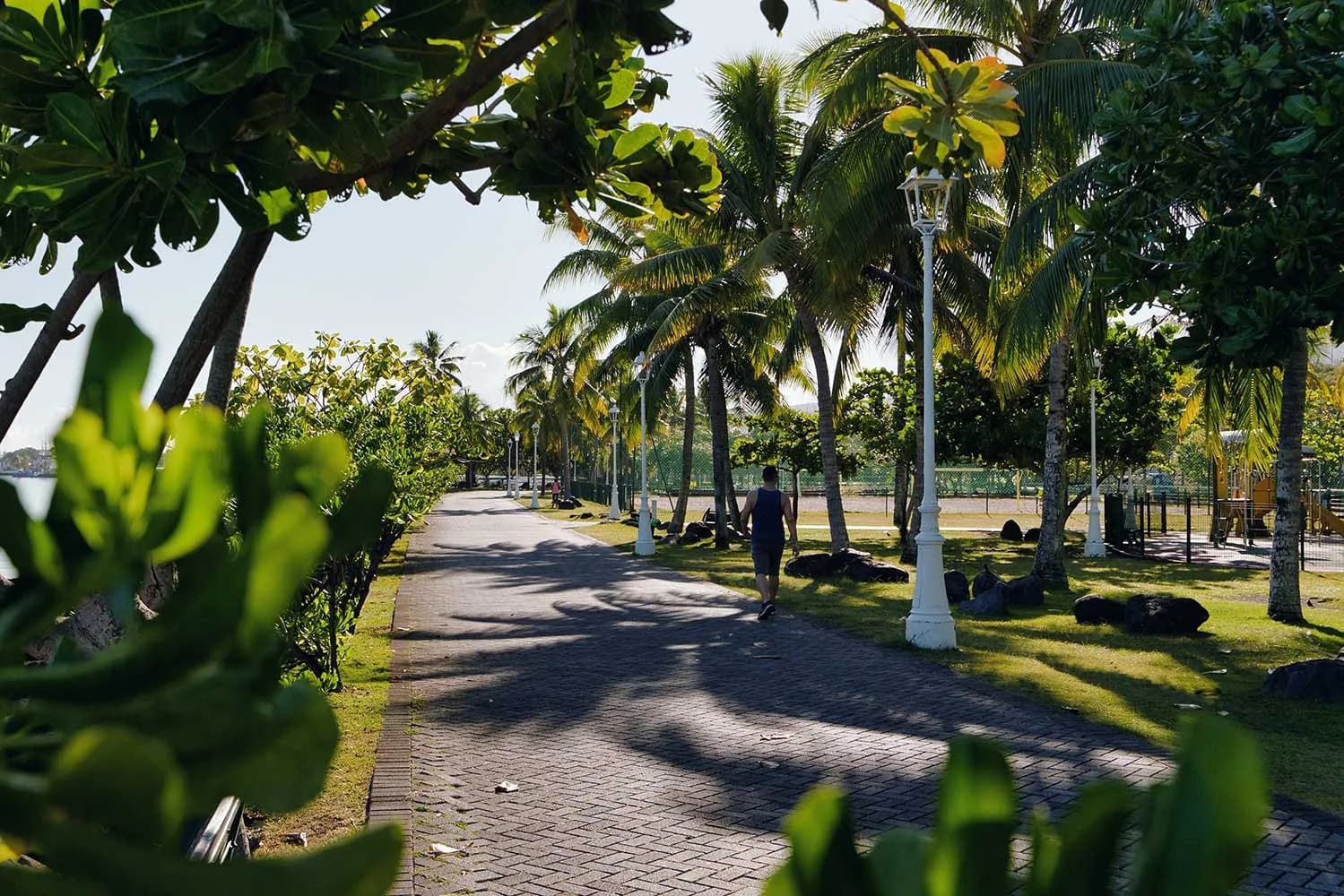 Jardins de Paofai